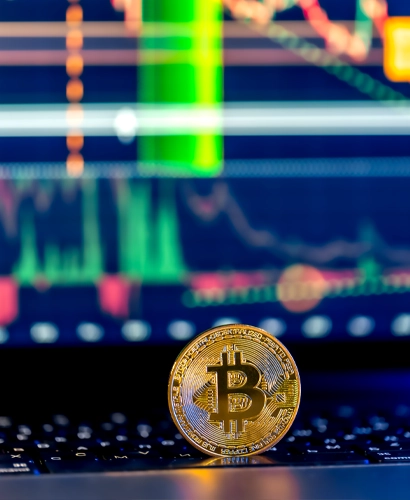 Wealth Program Platform Crypto Trading Information